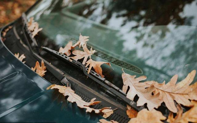 Windscreen Wiper Blades